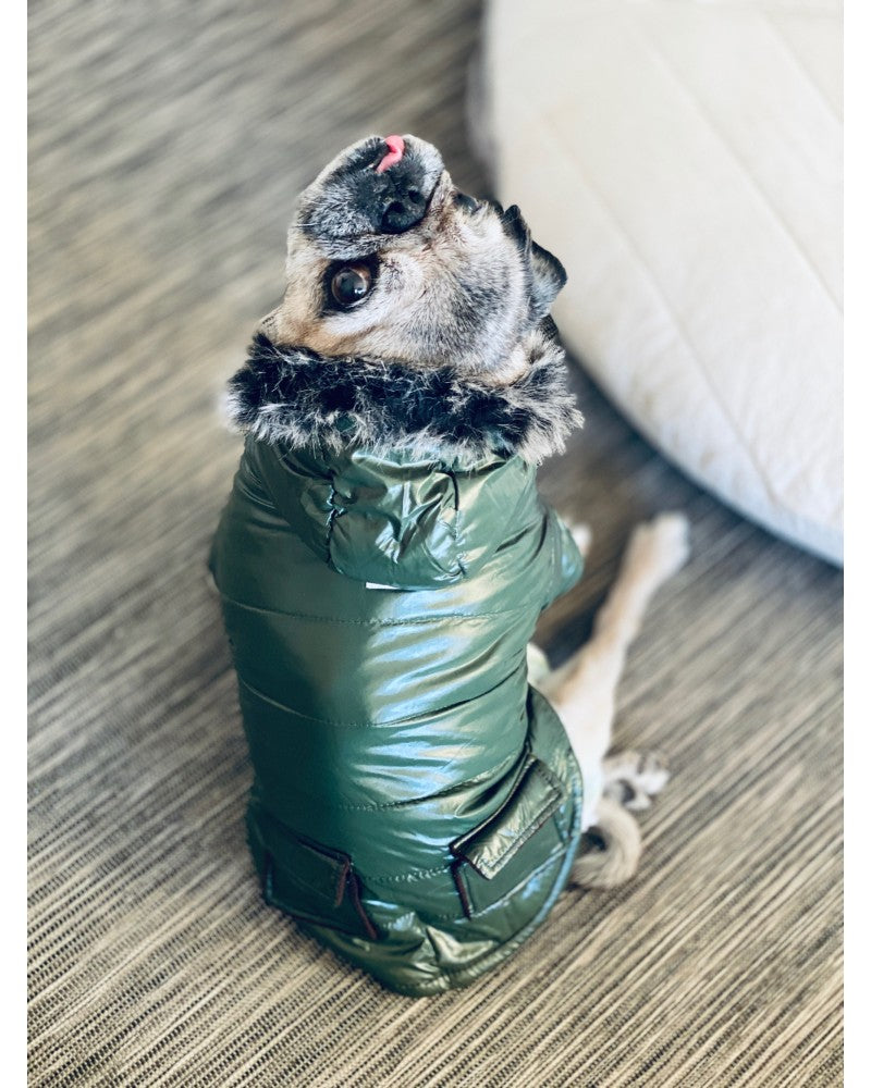 waterproof dog jacket σε πράσινο