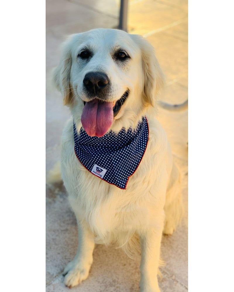 Σκύλος με Μπλε μπαντάνα Pinkpaws με λευκό πουά Και κόκκινη ραφή .