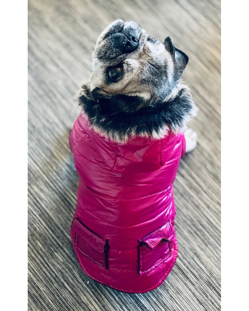 waterproof dog jacket σε φούξια