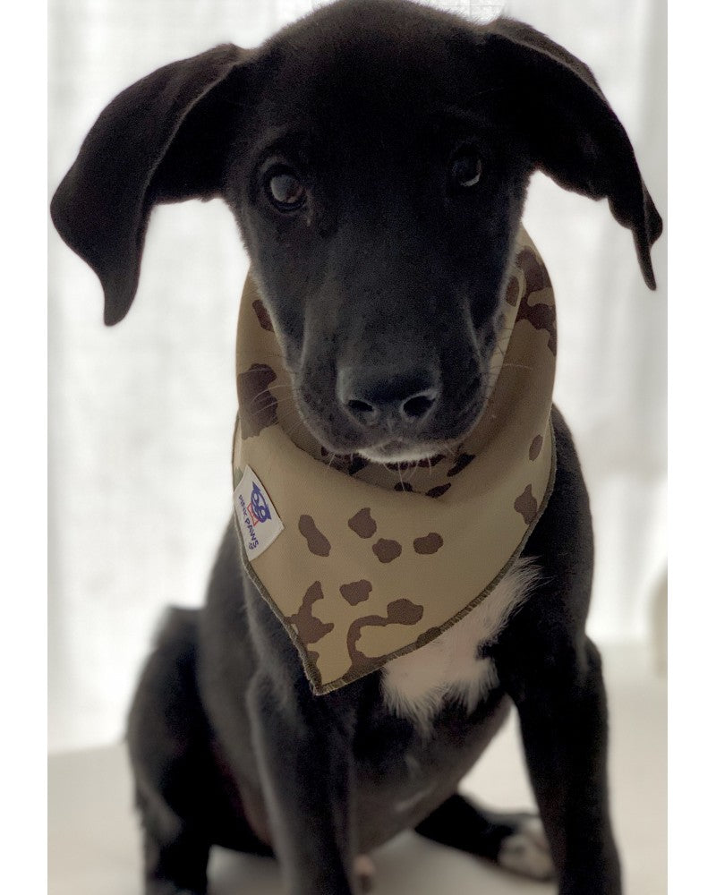 Σκύλος με Μπεζ military μπαντάνα Pinkpaws με διακριτικό καμουφλάζ μοτίβο.