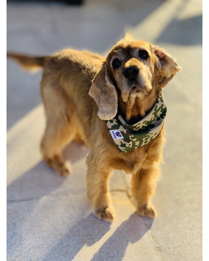Σκύλος με Μπεζ military μπαντάνα Pinkpaws με διακριτικό καμουφλάζ μοτίβο.