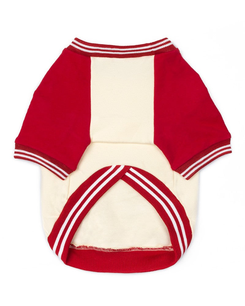 Red PRPJ college dog sweater- minimal premium pet clothing