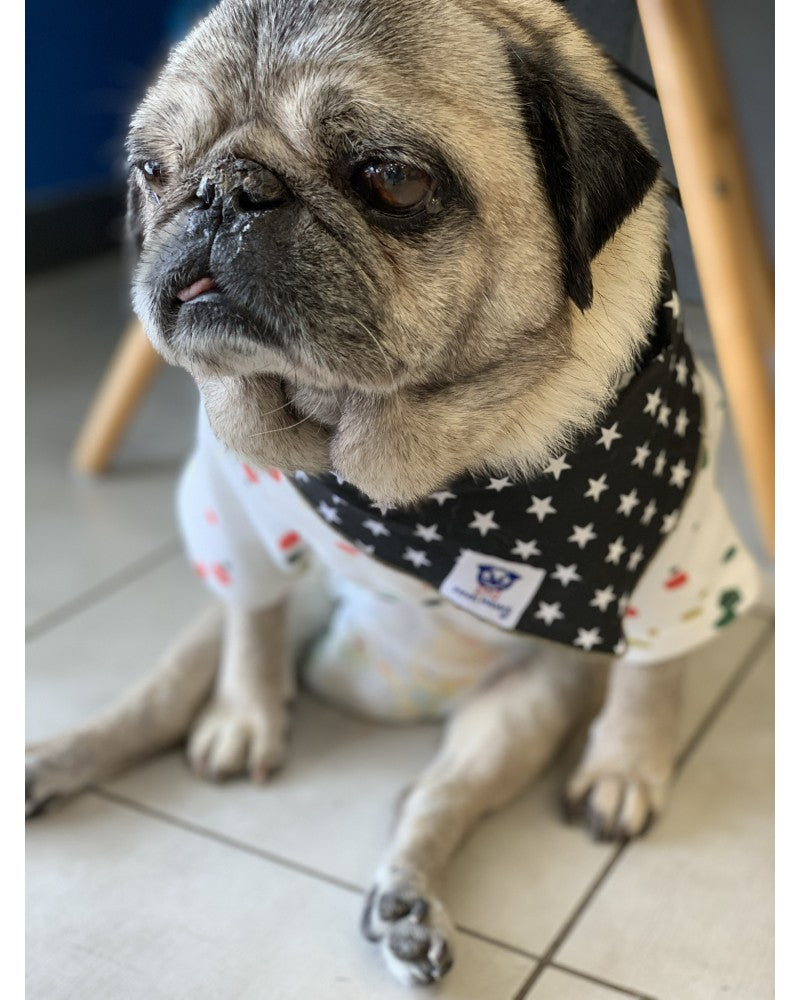 Σκύλος με Μαύρη μπαντάνα Pinkpaws με λευκά αστεράκια
