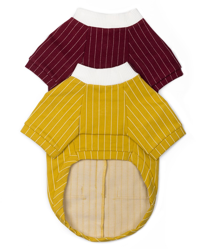 Μπλούζα σκύλου με γιακά σε κίτρινο και μπορντό