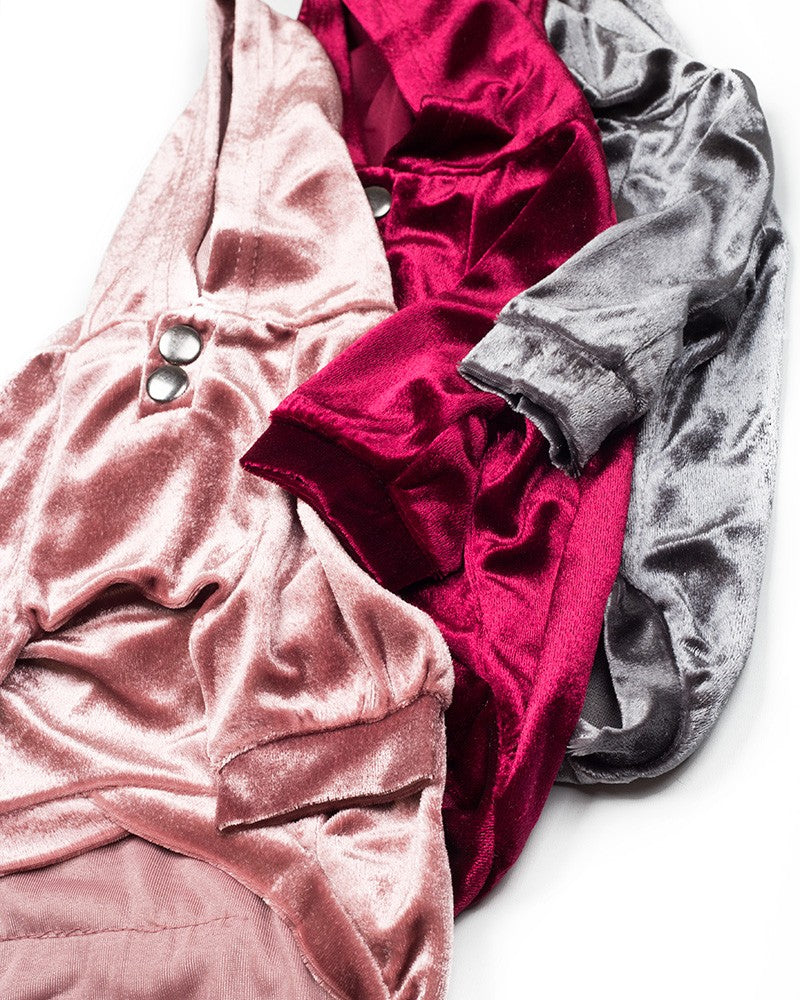 βελούδινη μπλούζα σκύλου σε γκρι, μπορντό και ροζ