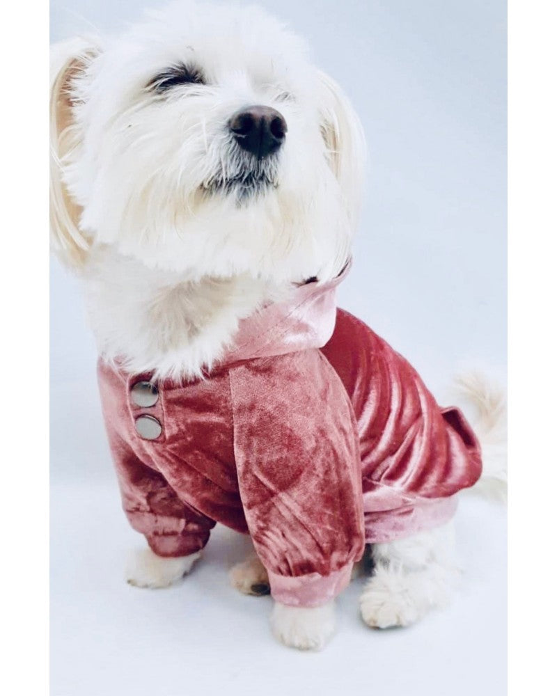 βελούδινη μπλούζα σκύλου σε ροζ