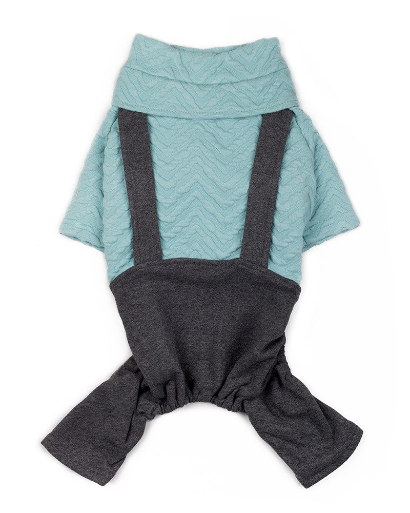 Φορμάκι σκύλου με τιράντες σε γαλάζιο χρώμα