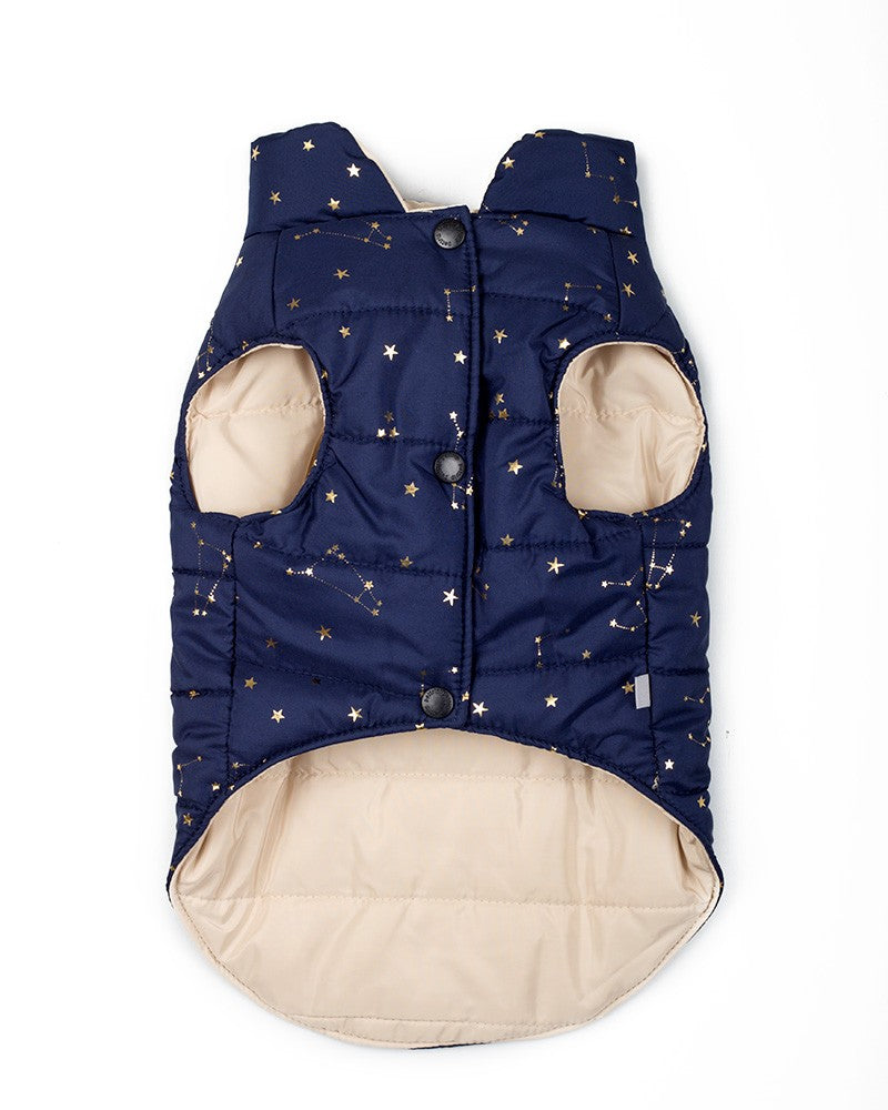 winter dog coat with star print- blue