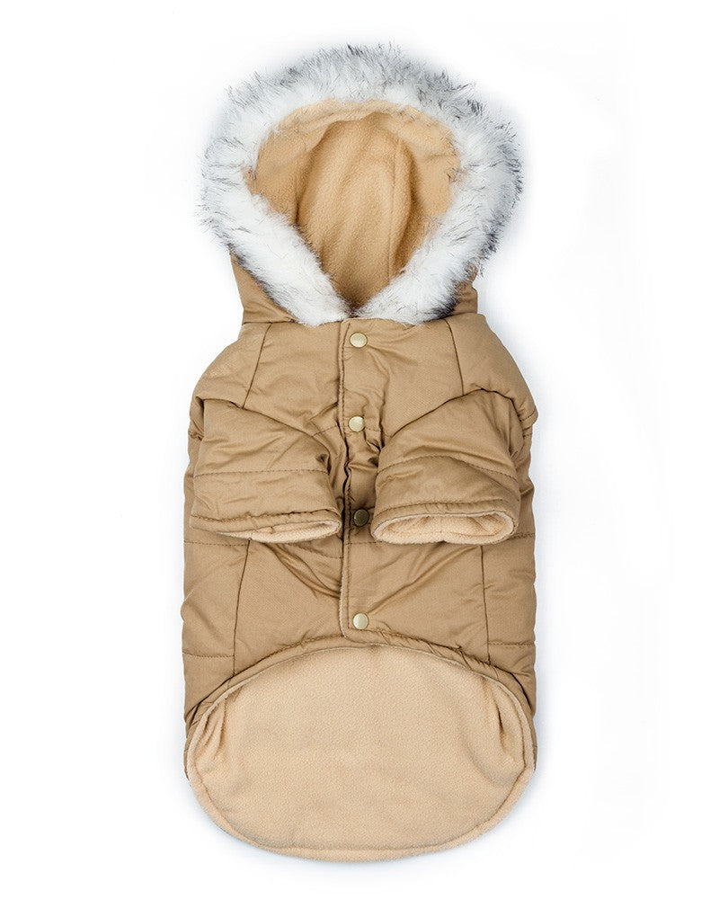 montgomery για σκυλο σε μπεζ