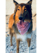 Σκύλος με Κόκκινη ριγέ μπαντάνα Pinkpaws 