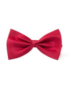 Παπιγιόν κατοικίδιων – Κόκκινο – Pinkpaws Premium Satin