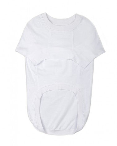 μονόχρωμη μπλούζα μεγαλόσωμου σκύλου σε λευκό