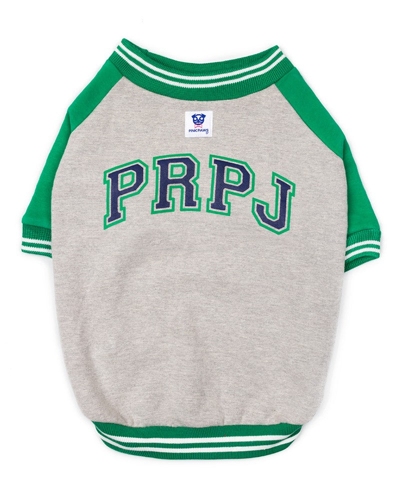Green PRPJ college dog sweater- minimal premium pet clothing