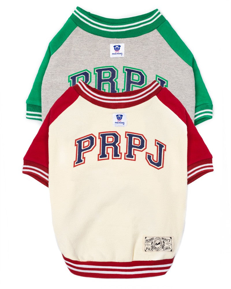 Green PRPJ college dog sweater-monimal premium apparel