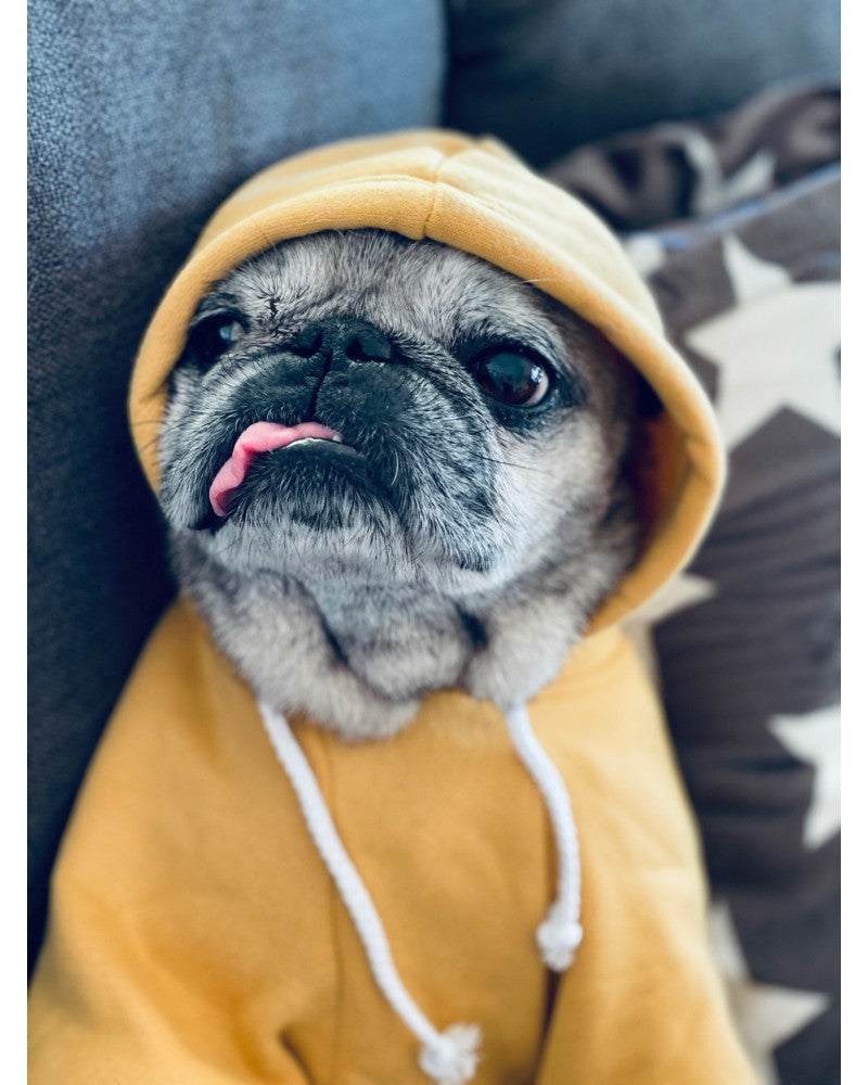 Κίτρινο hoodie για σκύλους