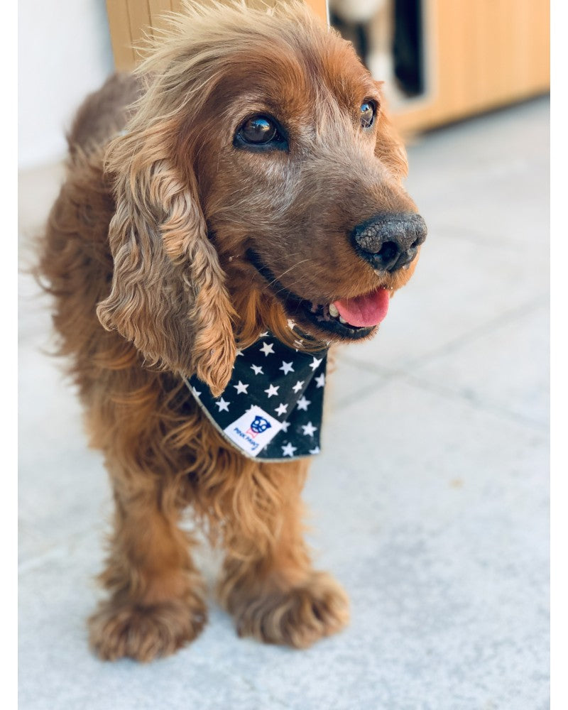 Σκύλος με Μαύρη μπαντάνα Pinkpaws με λευκά αστεράκια