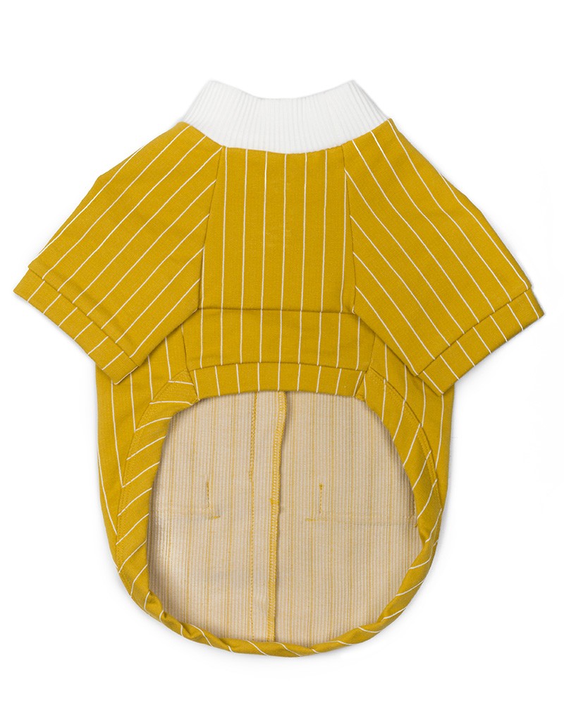 Μπλούζα σκύλου με γιακά σε κίτρινο