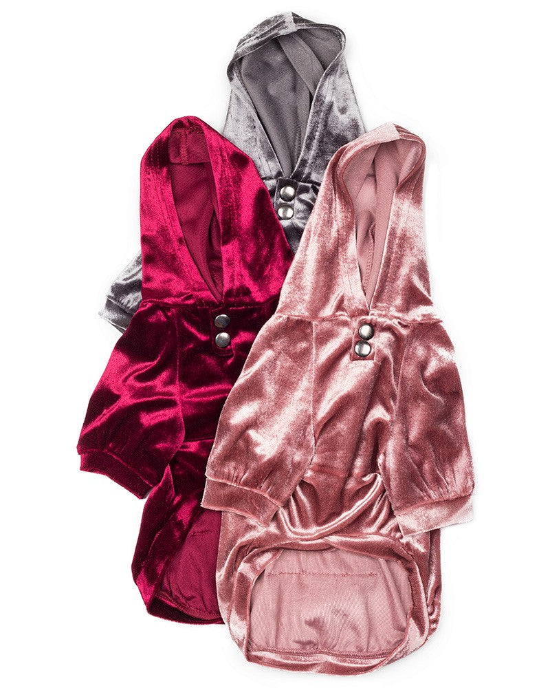 βελούδινη μπλούζα σκύλου