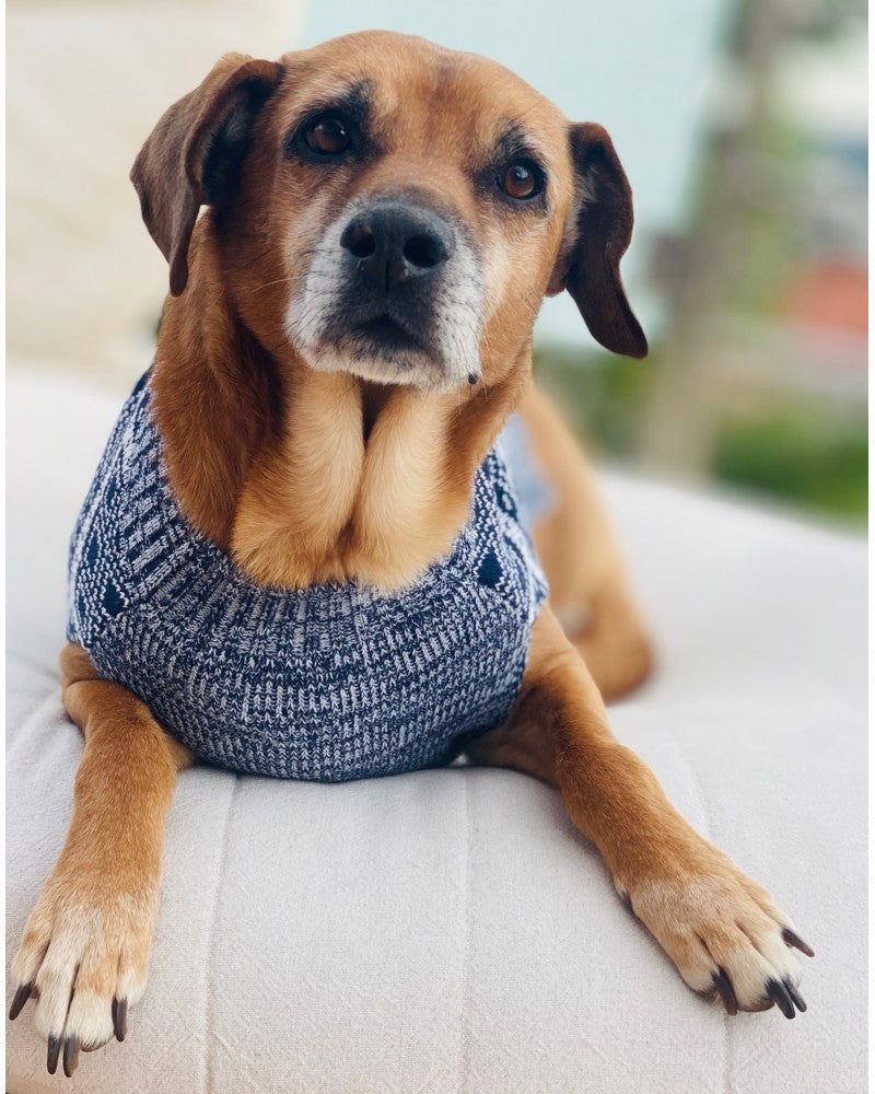 Πλεκτό πουλόβερ για σκύλους με μοτίβο ρόμβων