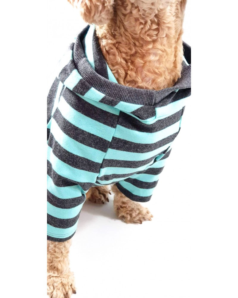 Dog striped hoodie turquoise- front view