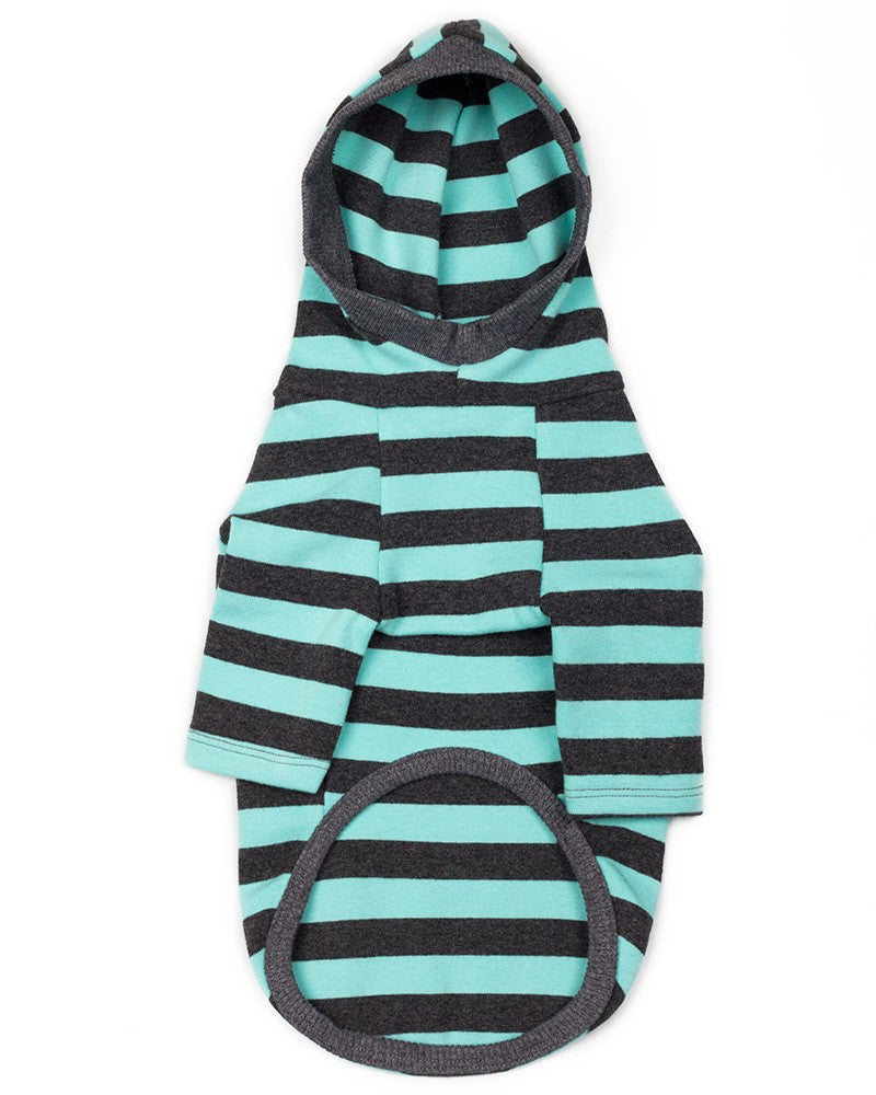 Dog striped hoodie turquoise- front view