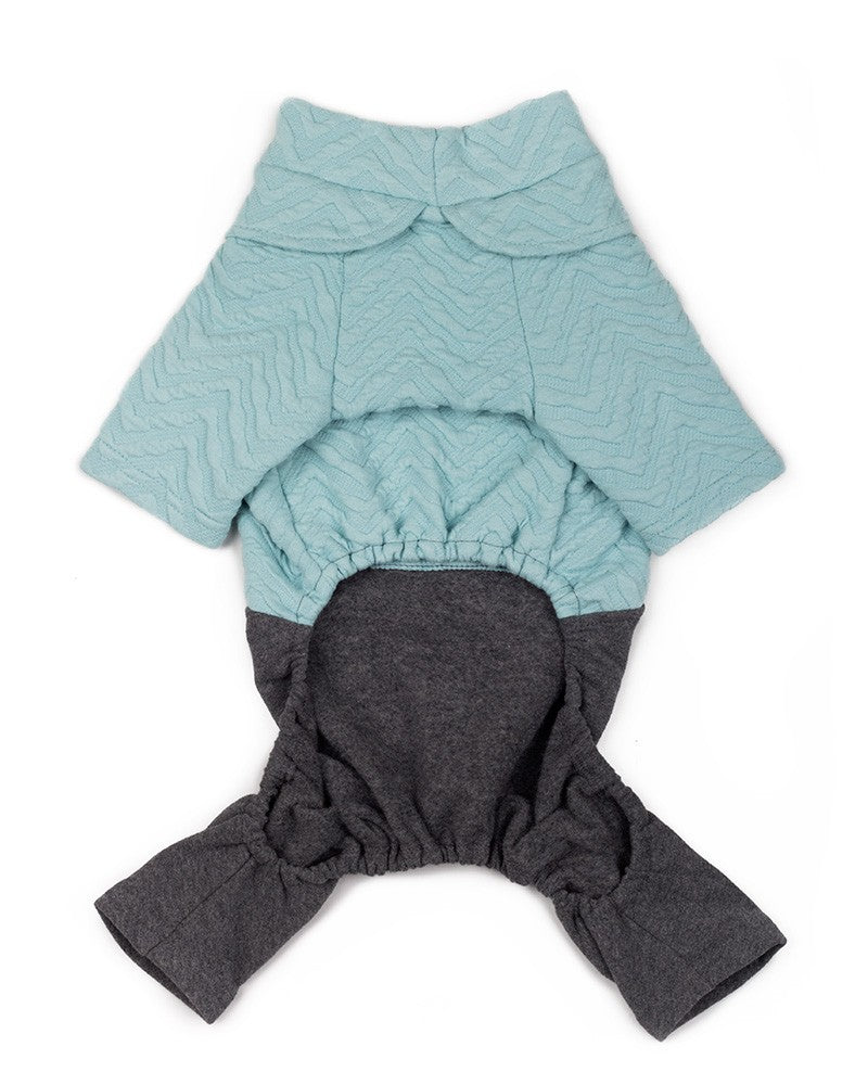 Φορμάκι σκύλου με τιράντες σε γαλάζιο χρώμα